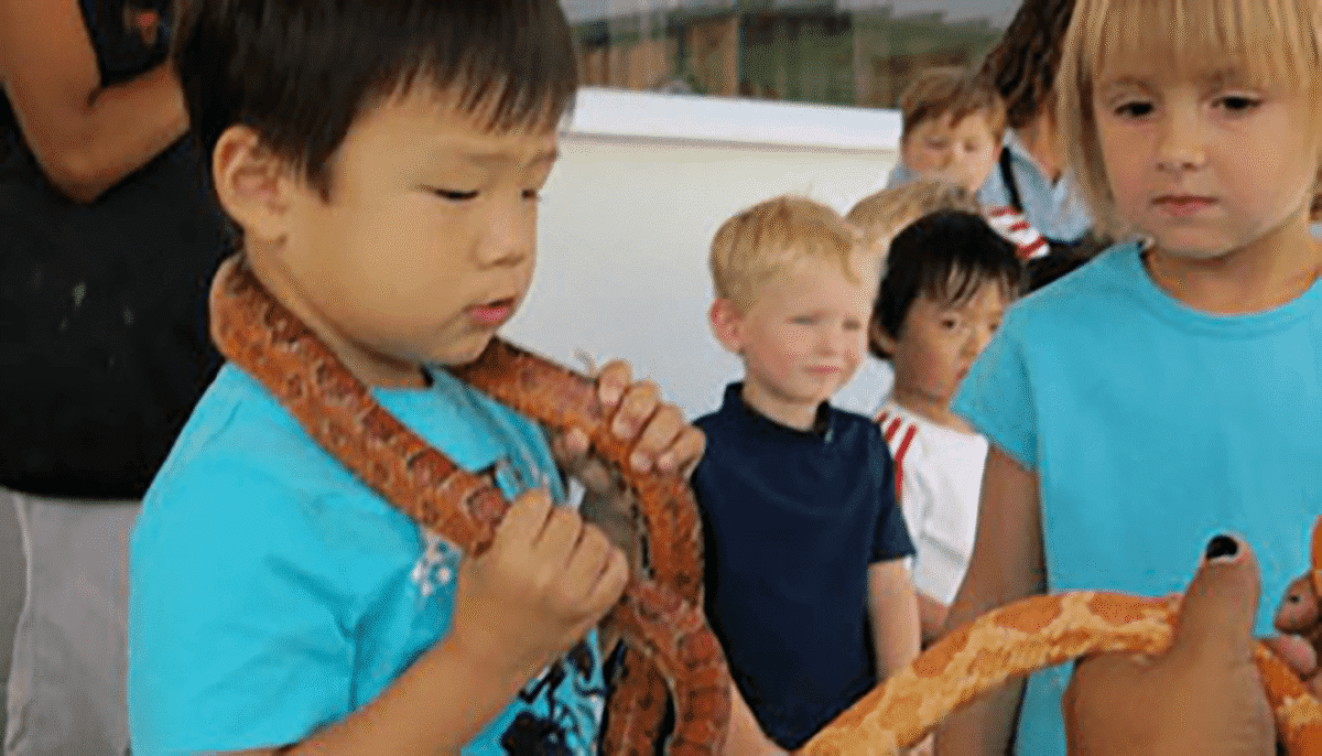 Kids carrying a snake